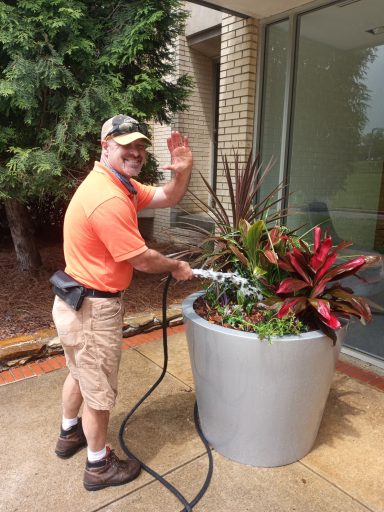 plant services